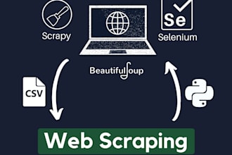 build you a fully functional python scrapper
