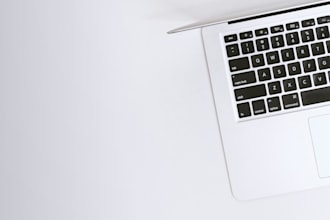 proofread and polish your english or dutch text in 24 hours