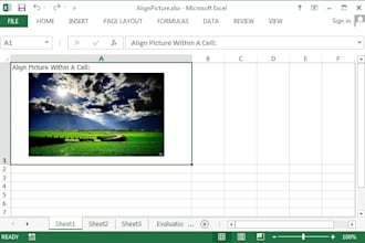 clean, format, merge, split excel data