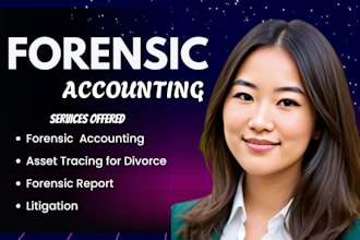 perform forensic accounting for divorce, court cases, legal dispute, fraud audit
