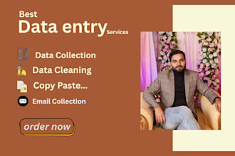 do accurate data entry, data collection ,ecomerce ,copy pate