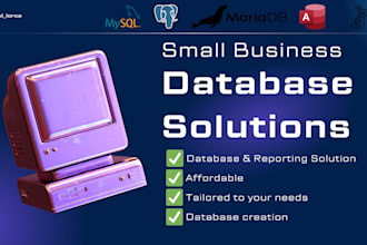 create custom databases and reports for small businesses