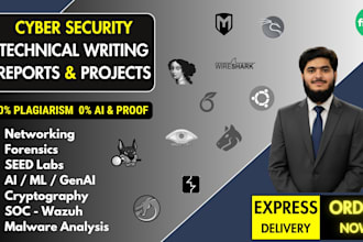 do cyber security projects and technical writing