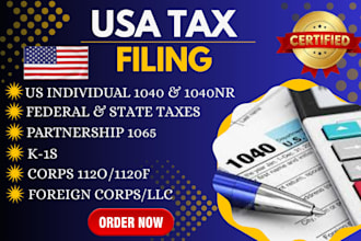 file US tax return for business and individual tax return, form 1120,1040,1065