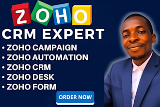 setup and automate zoho crm, zoho one, desk, books and hubspot