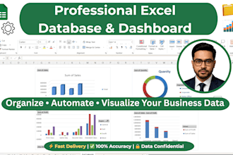 create a professional excel database and dashboard for you