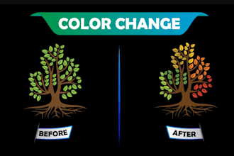 edit redesign redraw color change or fix your logo