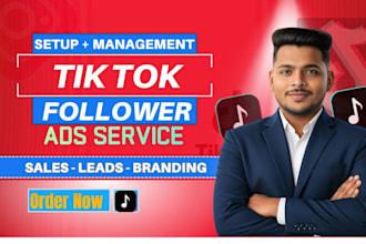 setup tiktok ads campaign to increase followers, leads