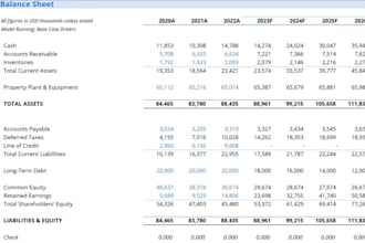 , as a chartered accountant, build your investor ready financial model