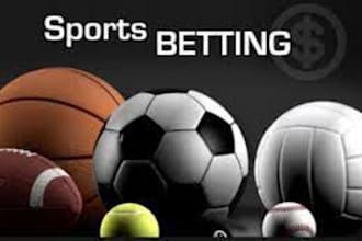 build bet app sport bet app bet website sport bet website crypto crash game