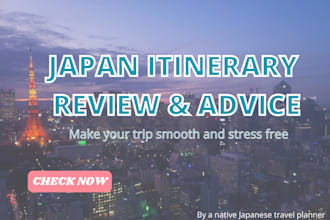 review your japan travel itinerary and give improvement advice