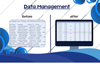 clean, marge and formatting your data on excel or csv format