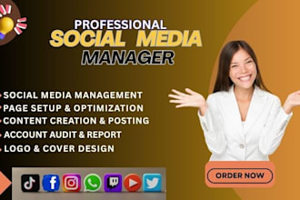 social media manager facebook post ads content creator instagram post