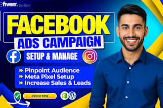 run facebook and instagram ads as a meta ads expert for shopify sales
