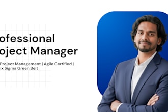 be your project manager for business process improvement projects