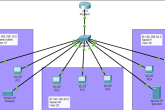 configure routers, switches, and vlans for your network