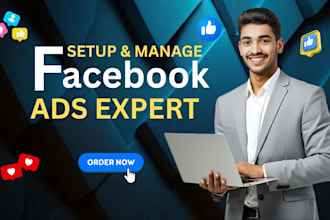 run facebook and instagram ads for sales