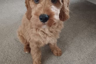 photograph UK sunsets and scenic landscapes