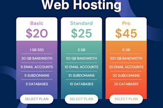 provide cheap wordpress website hosting for one year