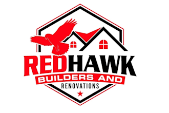create creative and good looking hawk logo design