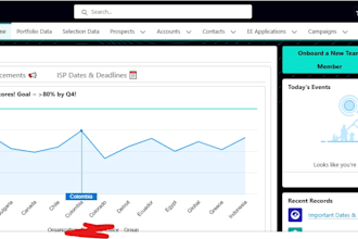 implement salesforce, optimize your CRM, and fix issues