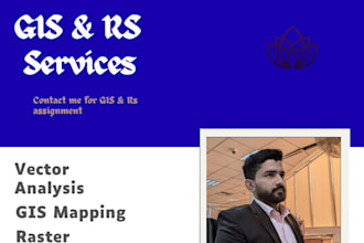professional vector analysis and spatial data solutions