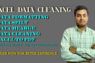 deliver top quality excel data to enhance your data