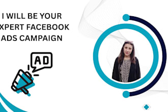 be your expert facebook ads campaign
