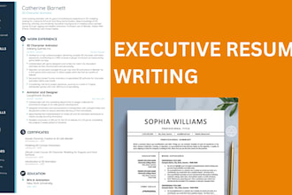 write executive and federal government resume and cv