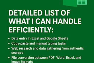do data entry and excel work and online website data entry