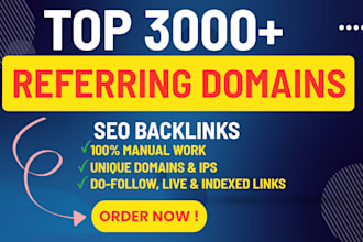build 3000 referring domain SEO backlinks for google ranking