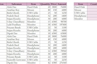 clean, format, and merge your excel data professionally