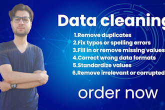 clean and organize your data professionally