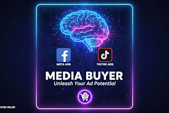 create advertising campaigns on meta ads or tiktok