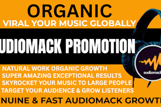 do email marketing campaign to promote audio mack music promotion