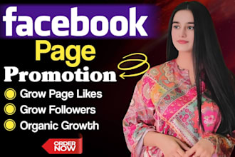 do organic facebook marketing and page promotion