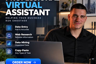 be your virtual assistant for data entry, web research, data mining, copy paste
