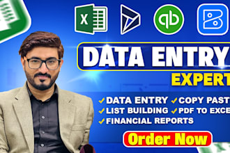be your excel, CSV data cleaning, formatting  and merging expert