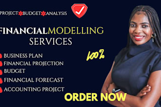 prepare top notch excel financial model, forecasts, budget and business plan