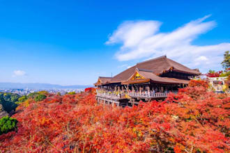 create a japan travel itinerary and handle local bookings