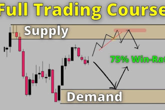 mentor you in high probability day trading strategies