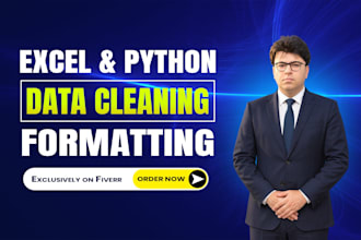 do data cleaning, data extraction, data mining with python and excel