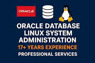 be your expert oracle database administrator with 17 years experience