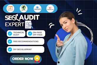 do professional technical, on page, off page SEO site audit report