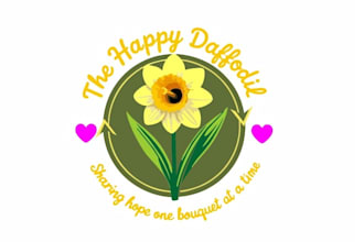 design a professional nonprofit logo for charities  ngos