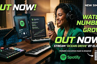 do spotify song promotion professionally by ads campaign