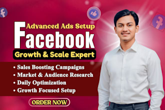 handle your facebook ads campaign audit and optimization