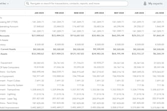 do professional bookkeeping in quickbooks and xero for you