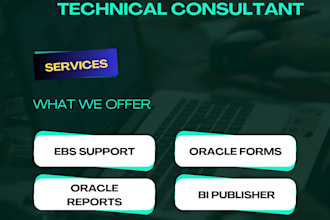 provide oracle ebs technical consulting, customization and support