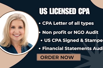 deliver CPA audits, ngo audits, and compiled financials